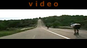 Skatereise Mallorca