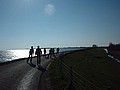 holland-02-101.jpg