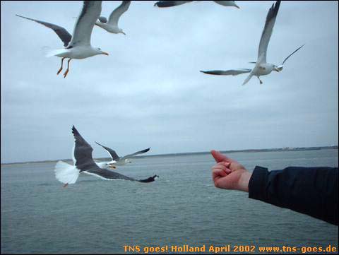 holland-04-012.jpg
