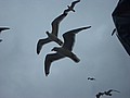 holland-04-011.jpg