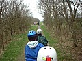 holland-04-046.jpg