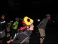tns-10-05-05-109.jpg