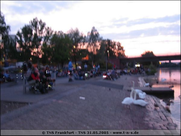 tns-31-05-05-170.jpg