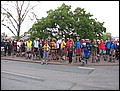 tns-31-05-05-036.jpg