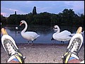 tns-31-05-05-172.jpg