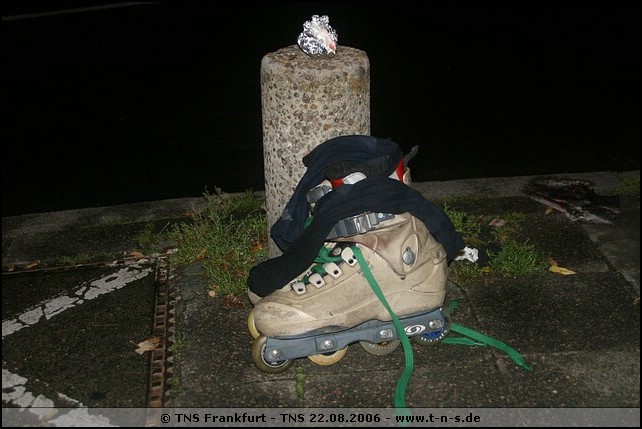 tns-22-08-06-317.jpg