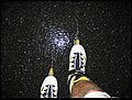 tns-22-08-06-215.jpg