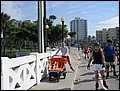 florida-070210-181234.jpg