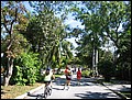 florida-070210-194338.jpg