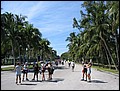 florida-070210-194536.jpg