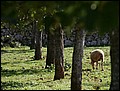 091027-115500-FR-OA1D6559.jpg