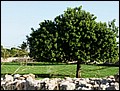 091027-161020-FR-OA1D7135.jpg