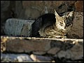 091027-163856-FR-OA1D7173.jpg