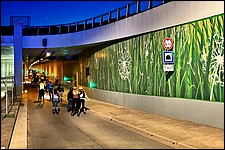 SR_IMG_0407.JPG