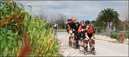 Mallorca 2010 - Foto: Thorsten Panitz