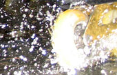TNS 11.07.2006